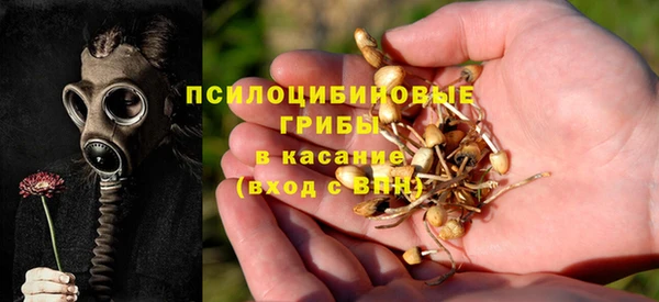 твердый Рославль
