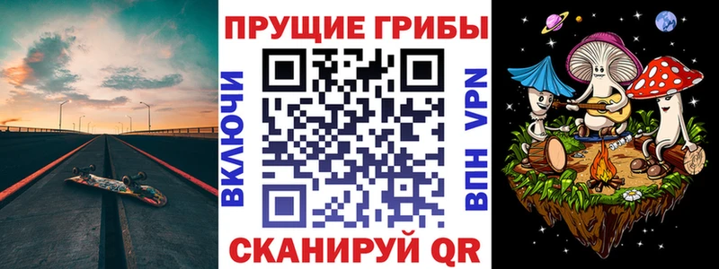 Псилоцибиновые грибы мицелий  Кудрово 